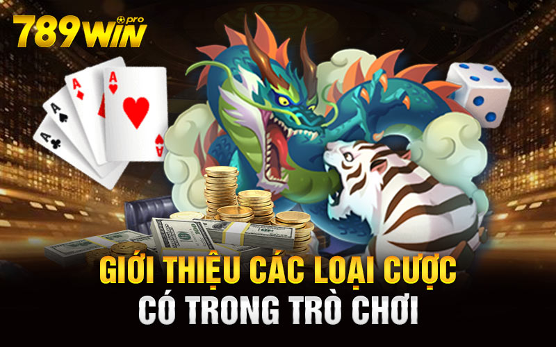 Giới thiệu các loại cược có trong trò chơi 