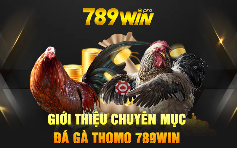 Giới thiệu chuyên mục đá gà Thomo 789Win