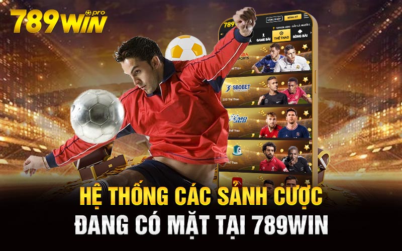 Hệ thống các sảnh cược đang có mặt tại 789win