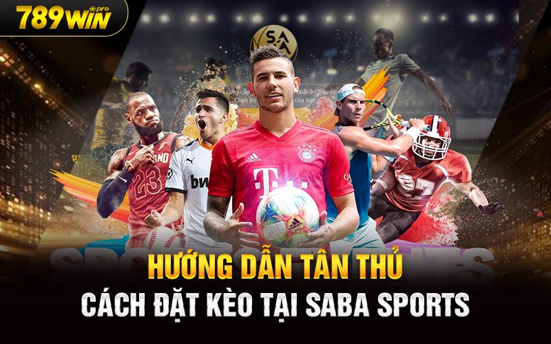 Hướng dẫn tân thủ cách đặt kèo tại Saba Sports