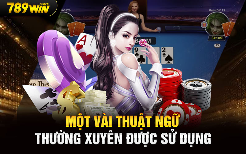 Một vài thuật ngữ thường xuyên được sử dụng  