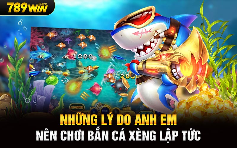 Những lý do anh em nên chơi bắn cá xèng lập tức