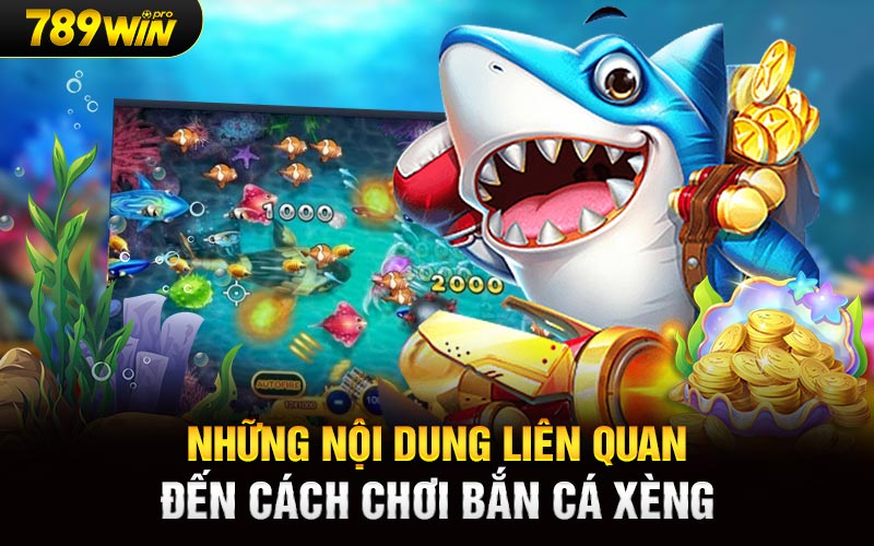 Những nội dung liên quan đến cách chơi bắn cá xèng