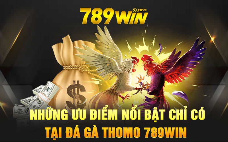 Những ưu điểm nổi bật chỉ có tại đá gà Thomo 789Win