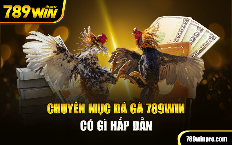 Chuyên mục đá gà 789Win có gì hấp dẫn