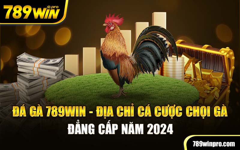 Đá Gà 789Win - Địa Chỉ Cá Cược Chọi Gà Đẳng Cấp Năm 2024