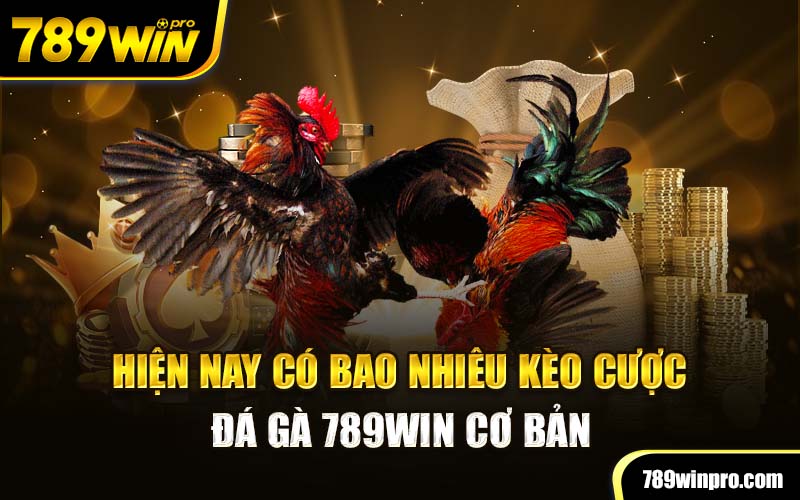 Hiện nay có bao nhiêu kèo cược đá gà 789Win cơ bản