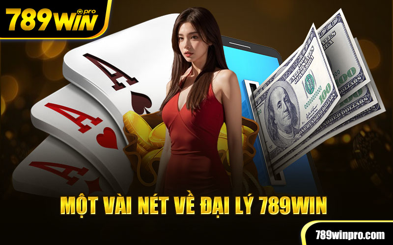 Một vài nét về đại lý 789win 