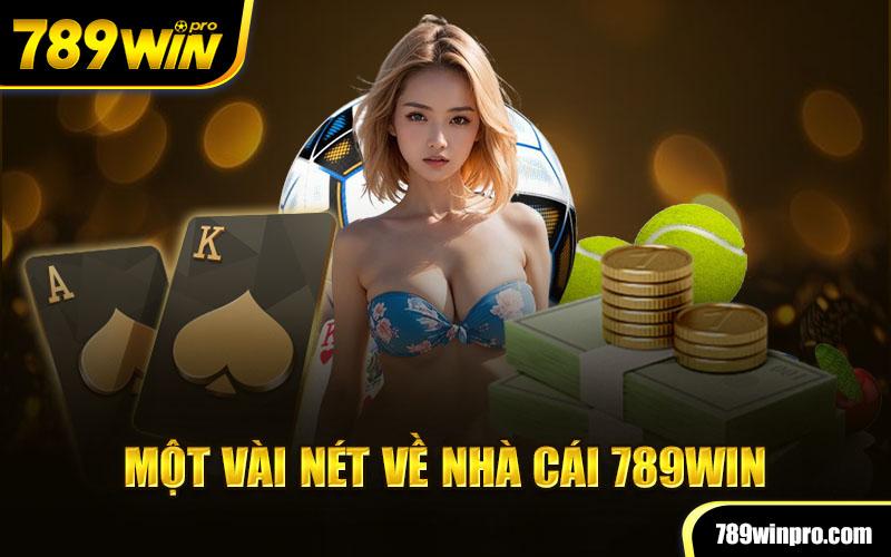 Một vài nét về nhà cái 789win 