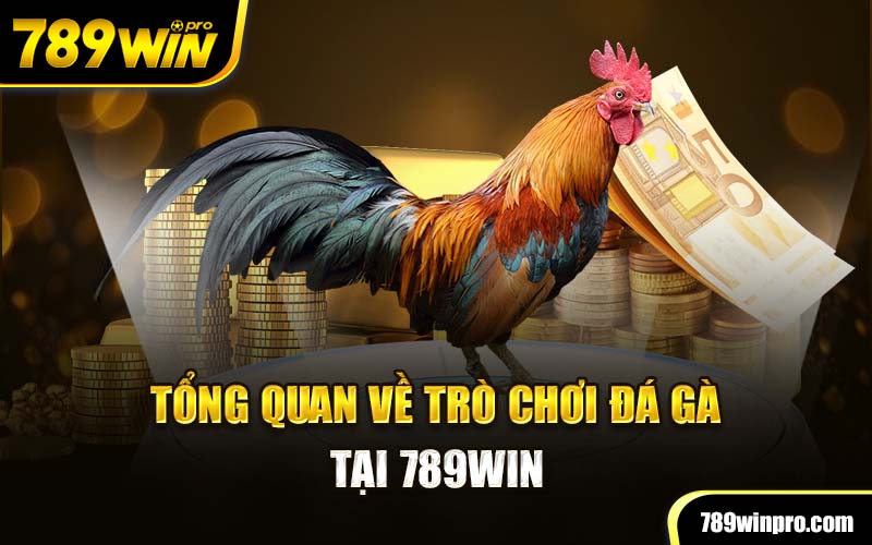 Tổng quan về trò chơi đá gà tại 789Win