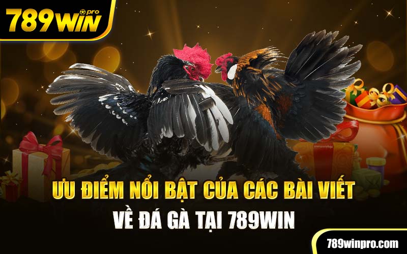 Ưu điểm nổi bật của các bài viết về đá gà tại 789Win